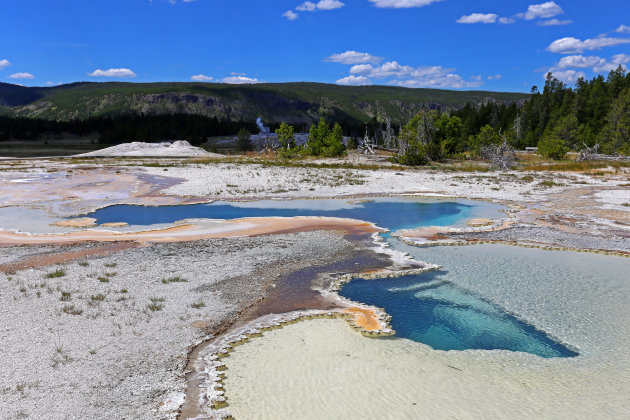 Doublet Pool