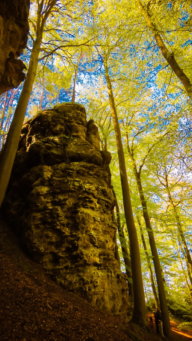 Het bos van Nommerlayen (2)