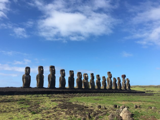 De fantastische Moai's op een rij