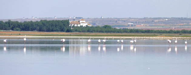 Laguna Manjavacas