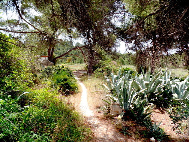 Eén met de natuur