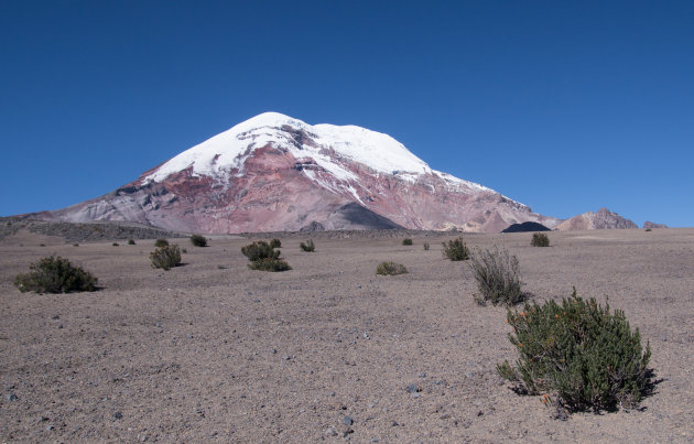 Chimborazo beklimmen