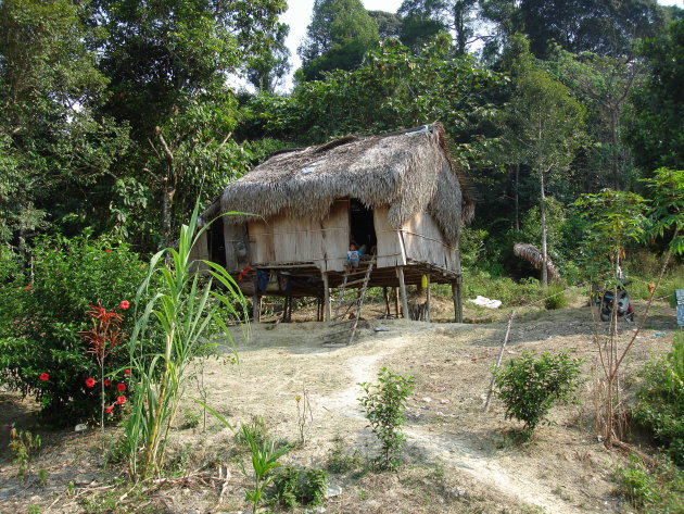 Huis op palen