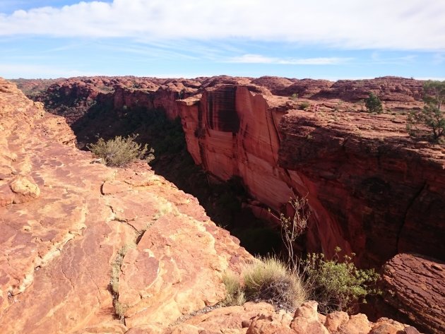 Watarrka/Kings Canyon national park