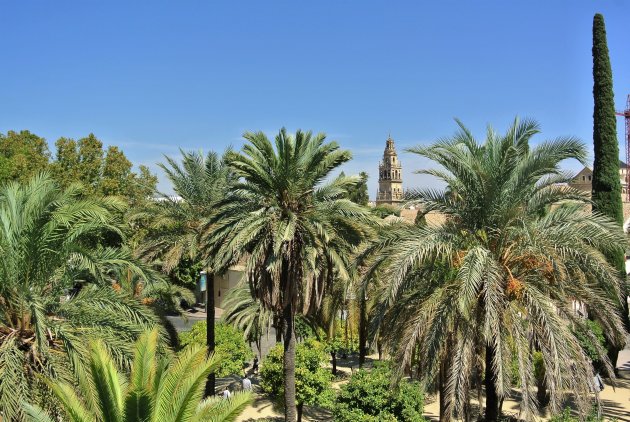 Torre del Alminar