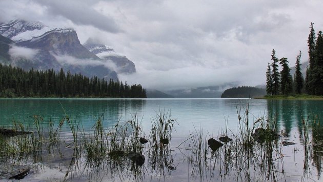 Maligne Lake