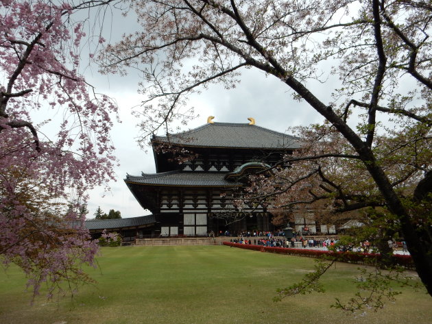 Todai-ji 