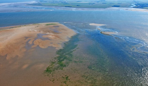 Invloed van eb en vloed in het waddengebied