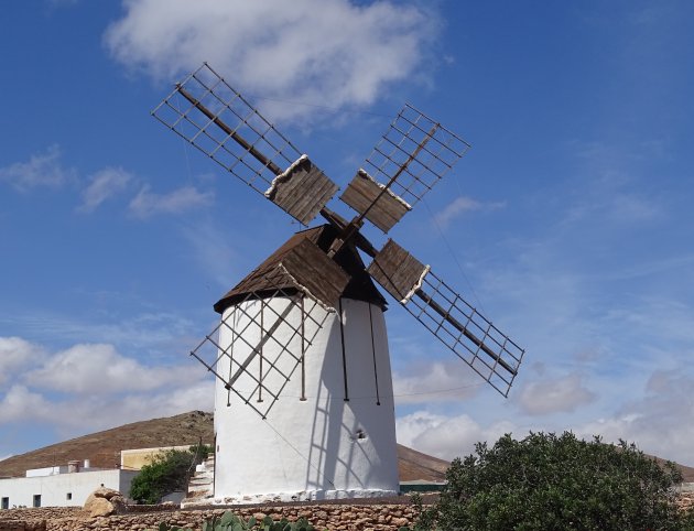 De molentjes van Fuerteventura