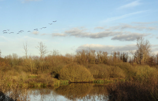 Vogelparadijs de Luysen