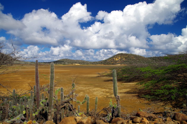 Bonaire: ruiger dan je denkt