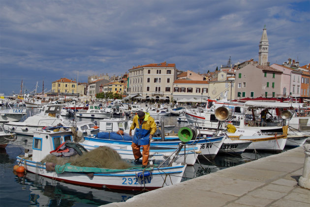 Visser in Rovinj