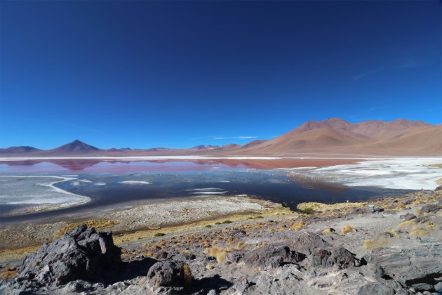 Laguna Colorada