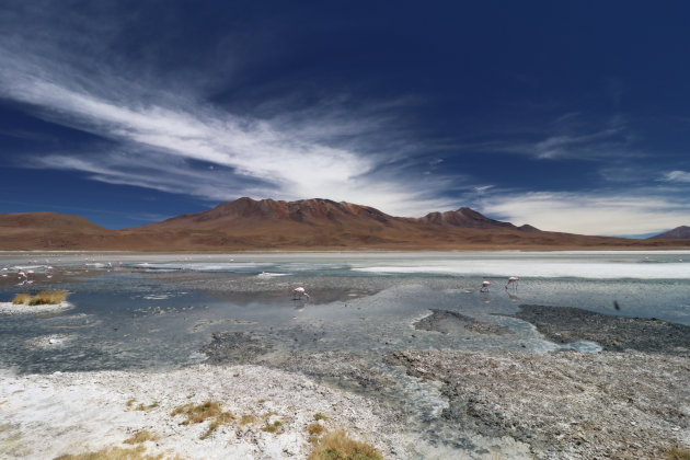 Laguna Charcota