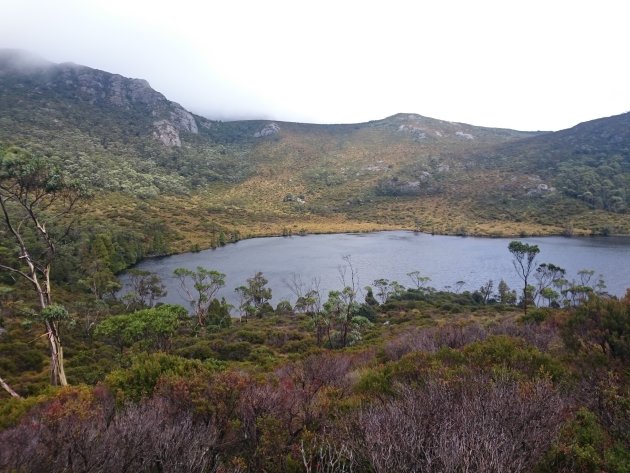 Dove Lake, Tasmanië