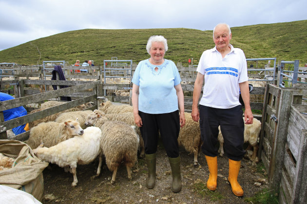 Schapenscheerders op Unst