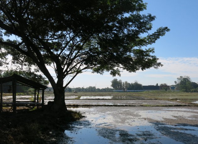 Fietstocht bij Chiang Mai