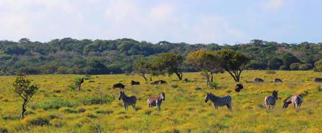 iSimangaliso Wetland Park