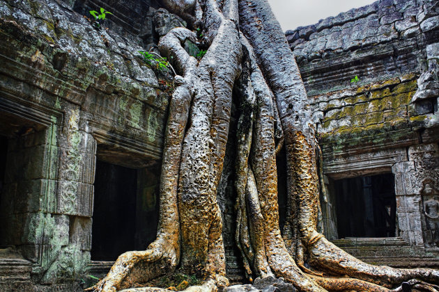 Ta Prohm