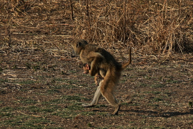 Weg rennen