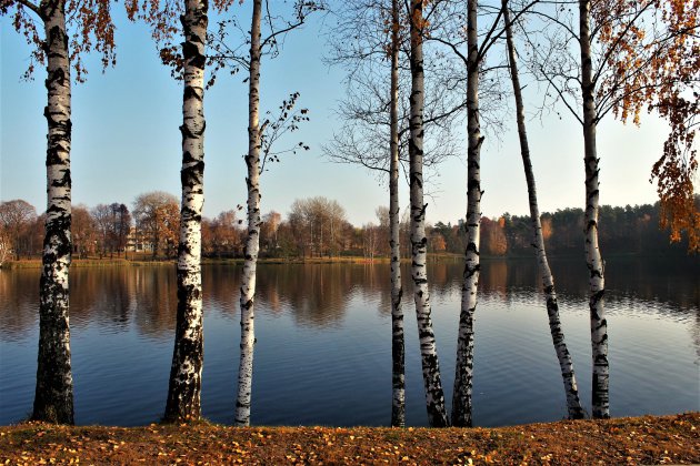 Meer in Druskininkai