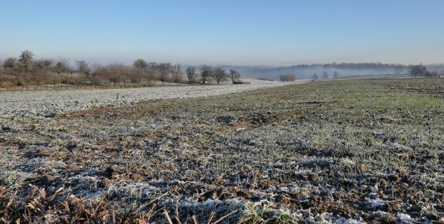 winterochtend