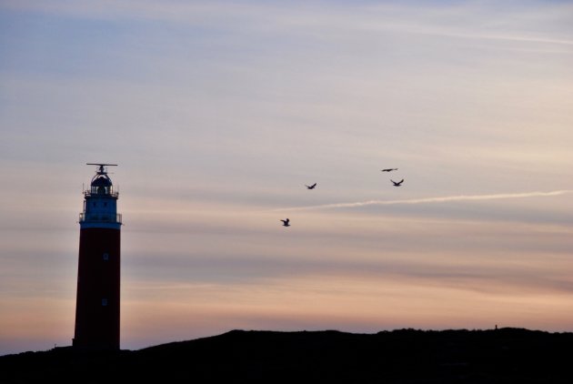 De vuurtoren van Texel