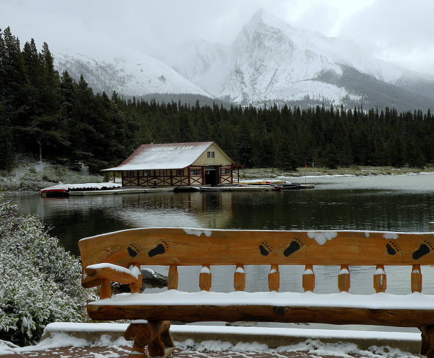 Icefields Parkway !