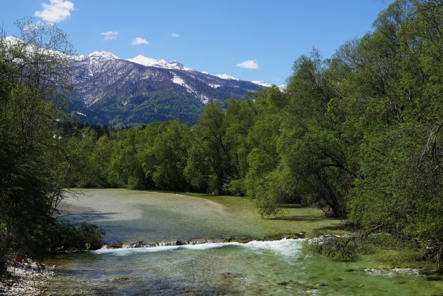 Sava rivier