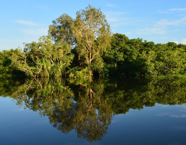 Spiegelbeeld