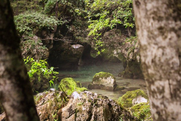 Regen in het Triglav Nationaal Park