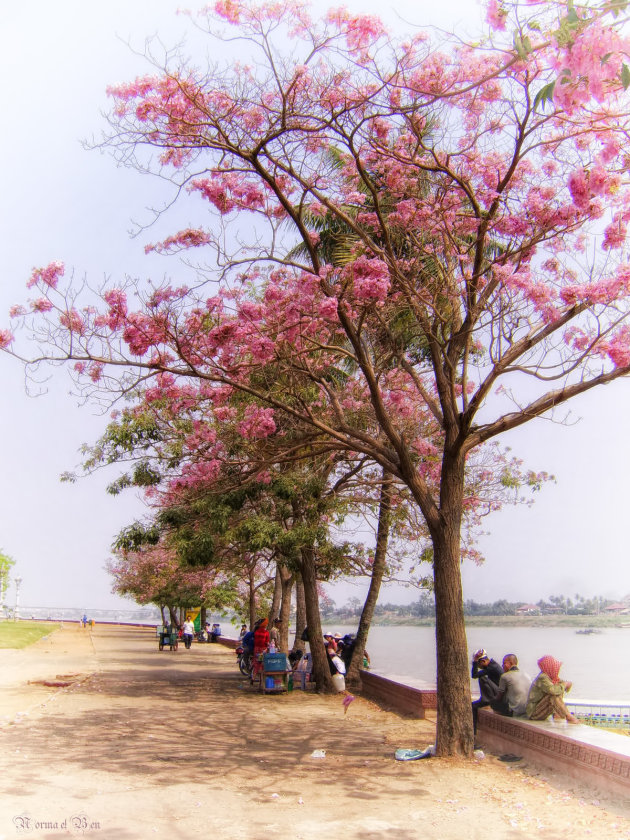 Aan de oever van de Mekong