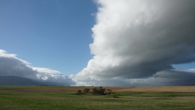 Wolkje!!