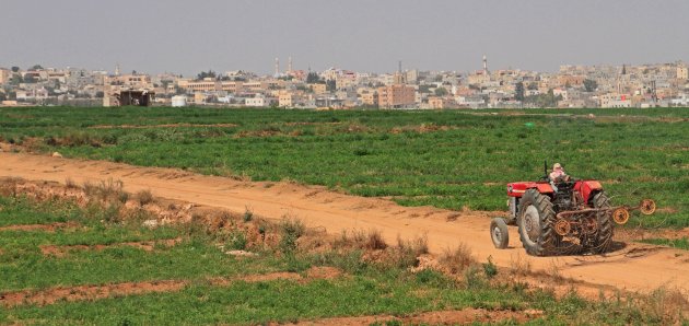 Landschap Madaba