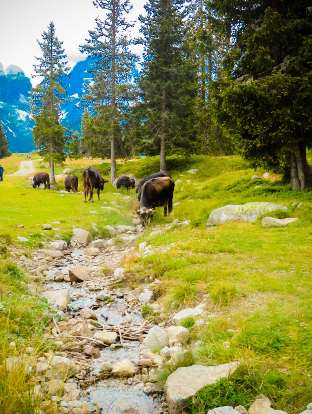 Op pad in Adamello Brenta