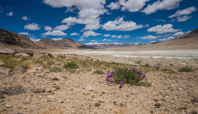 Landschap in Tadzjikistan