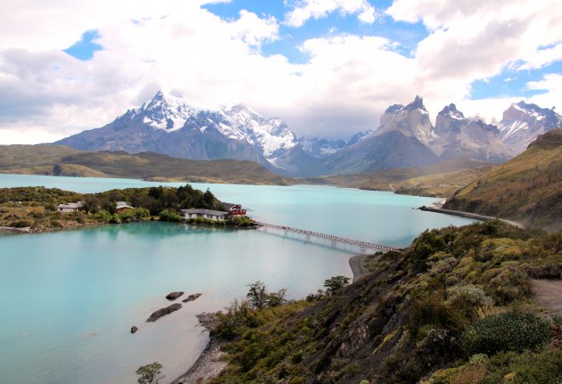 Wild Patagonie 