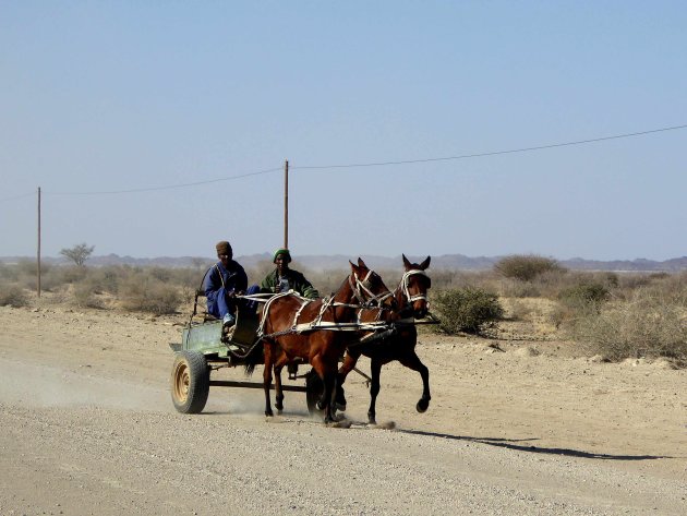 Paard en wagen