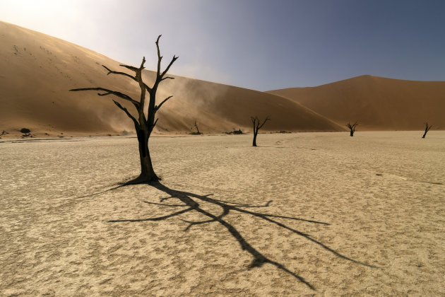 Deadvlei