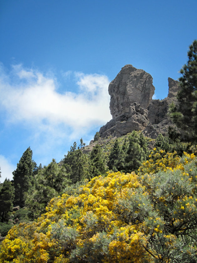 Roque Nublo