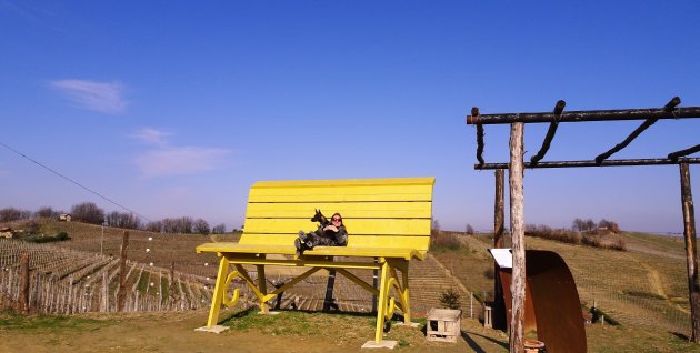 Big Bench Project in Piemonte