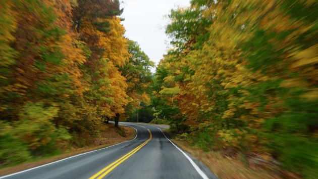 Geniet van de fall foliage