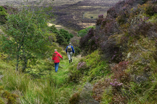 Dartmoor en zijn pixies