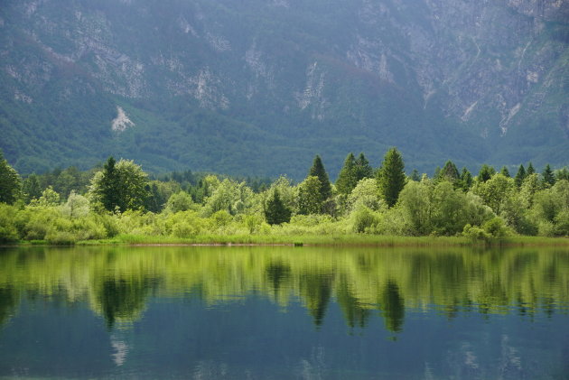 Meer van Bohinj