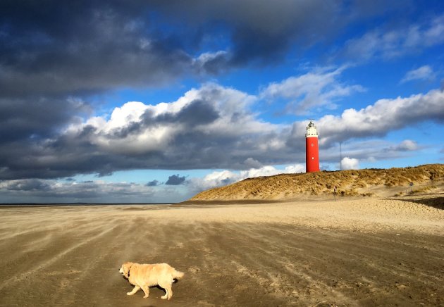 Mooi Texel