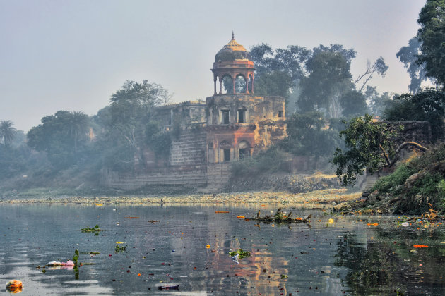 Jungle book aan de Yamuna