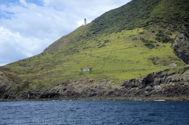 Cape Brett Walkway