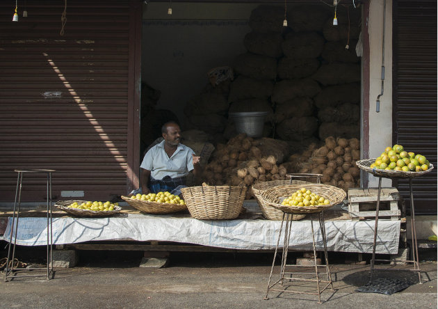 Oranges and Coconuts