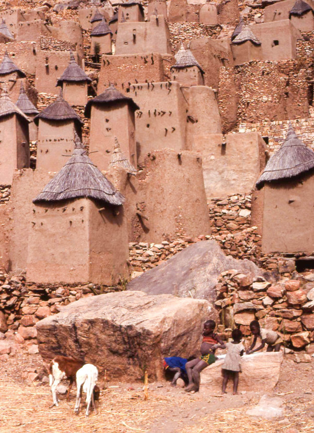 Dogon dorpje