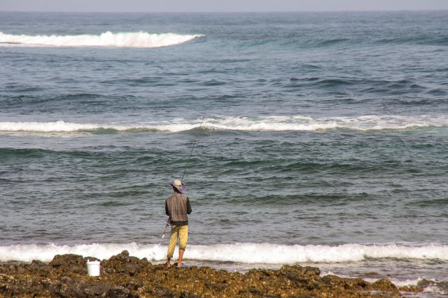 Visser op Fuerteventura